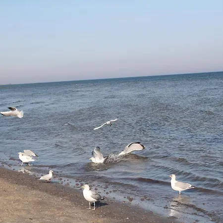 Skanepark 03 Im Eg Lejlighed Zinnowitz